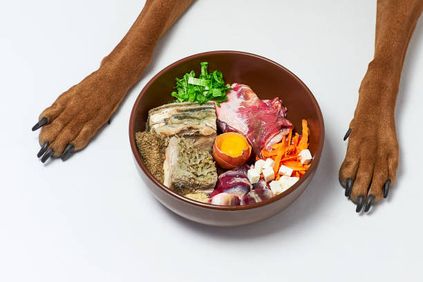 Precisely what are the pros and cons of raw dog food? post thumbnail image
