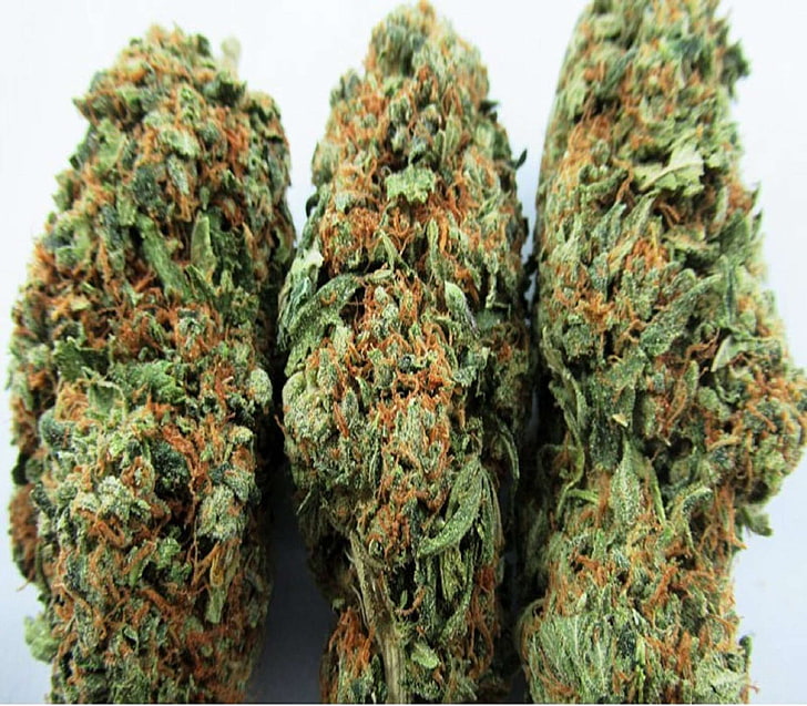 Go Online Shopping Weed Lovers! Here’s What You Need To Know About It! post thumbnail image