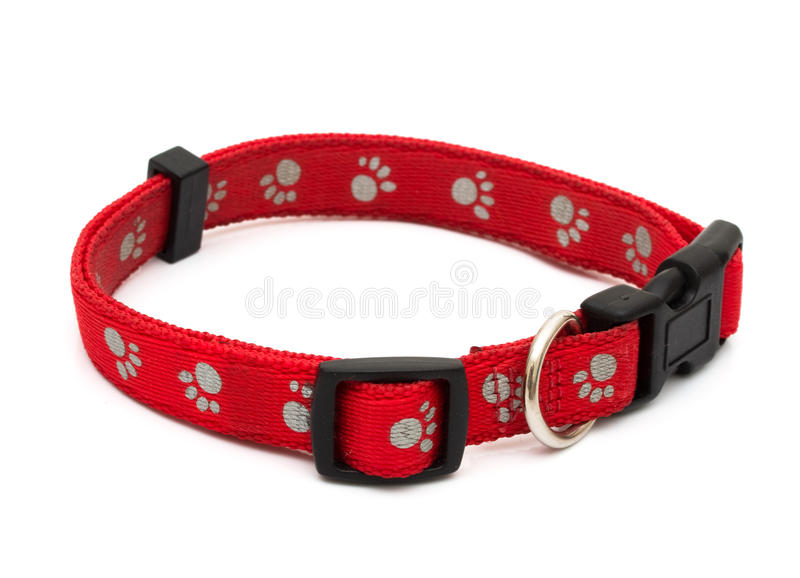 How a Geofence Dog Collar Can Help Keep Your Pet Safe post thumbnail image