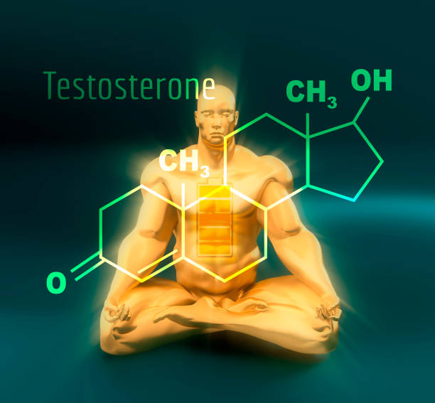 Investigating the Benefits of Testosterone therapy for Men’s Health post thumbnail image