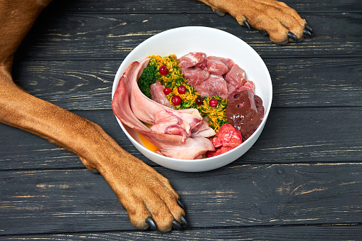 Finding Quality Pre-Made Raw Dog Food Brands post thumbnail image