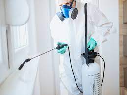 Pest control – Dealing With Pests The Right Way In Las Vegas post thumbnail image