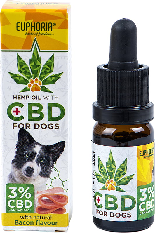 A detailed guide about CBD products post thumbnail image