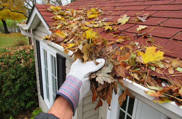 Tips on how to crystal clear your microsoft windows much like a professional house windows washing machine post thumbnail image