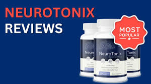 Neurotonix Reviews – Is Neurotonix Safe To Use For Everyone? post thumbnail image