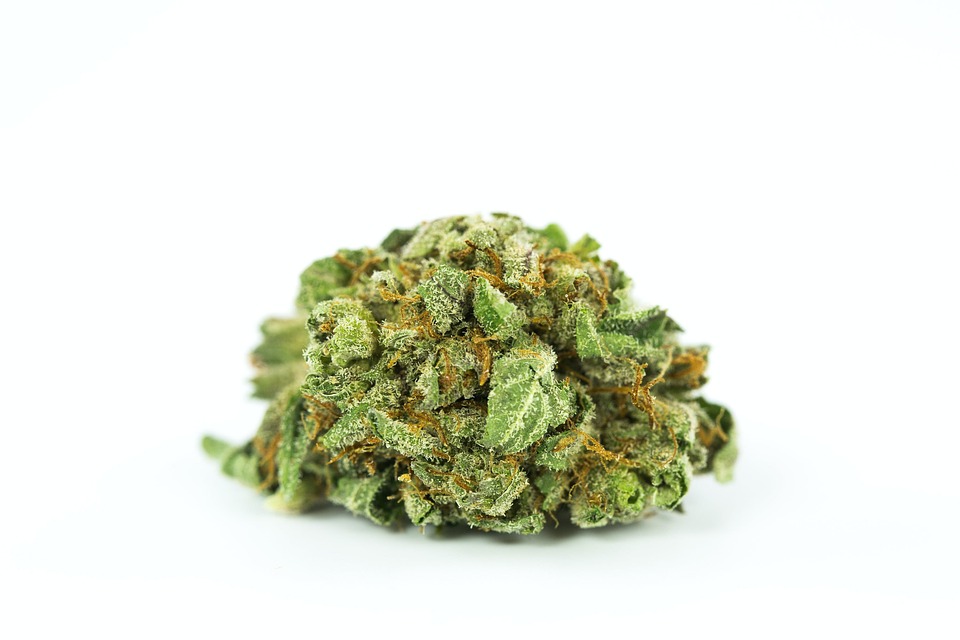 Buy Legal Marijuana and Get Discreet Delivery with Buy weed online post thumbnail image