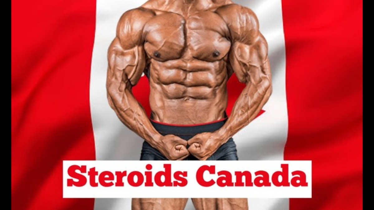 Get Larger with Canadian Steroids post thumbnail image