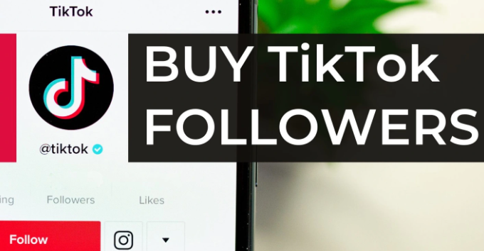 Buy Tiktok followers and Increase Your Chances of Going Viral post thumbnail image