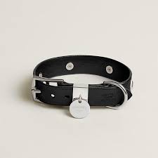 Affordable and Durable Dog collars: The Best Options on the Market post thumbnail image