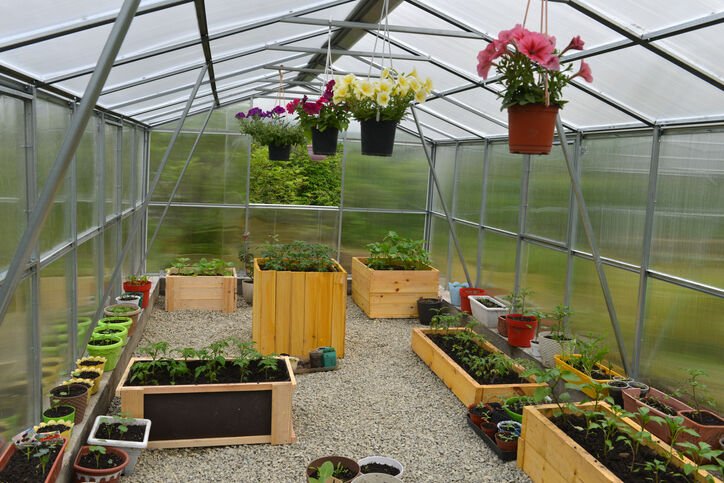 Greenhouses for Green Thumbs Everywhere- Retail outlet with a Greenhouse Retailer In Your Town! post thumbnail image