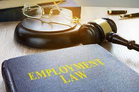 Lawyers for Employees: Ensuring Fair Treatment and Equal Opportunities post thumbnail image
