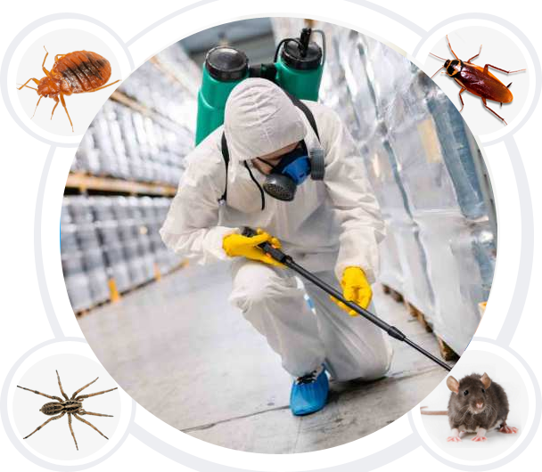 Choosing the Perfect Product for Effective Pest Management in Las Vegas post thumbnail image