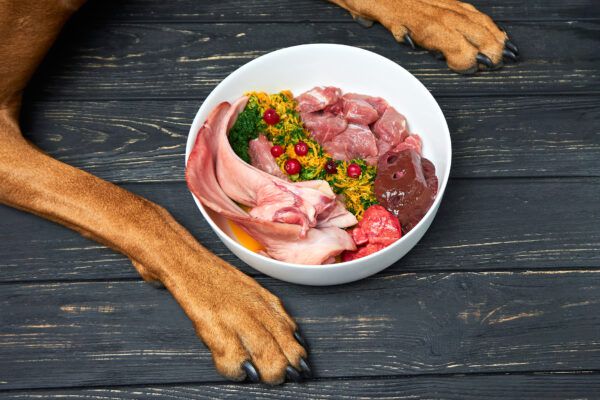 The Science behind Raw Dog Food: Understanding the Principles of Canine Nutrition post thumbnail image