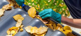 Gutter Cleaning in Sutherland Shire: Protect Your Property from Water Damage post thumbnail image