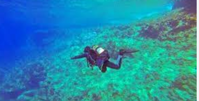 Phuket Scuba Diving Packages: Tailored Experiences for Every Diver post thumbnail image