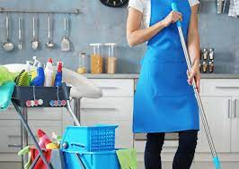 Enriching Household Dynamics: The Role of Foreign Domestic Workers post thumbnail image