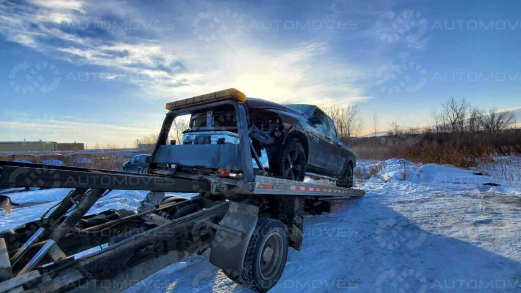 On the Road Again: The Science of Car Shipping and Logistics post thumbnail image