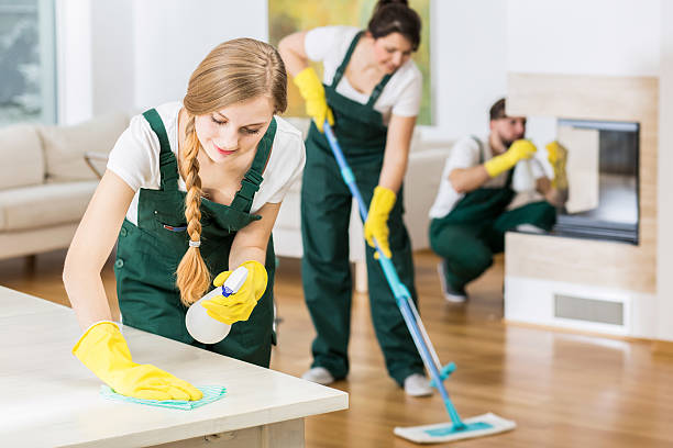 Commercial Cleaning Services: Elevate Your Business post thumbnail image