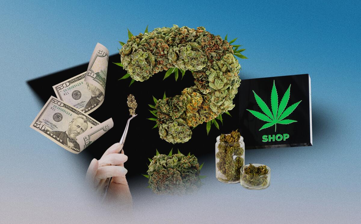 DC Dispensary Chronicles: Exploring the Cannabis Scene post thumbnail image