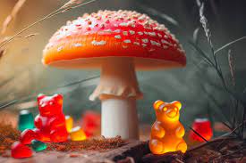 Amanita Mushroom Gummies: A Taste of Nature’s Gifts post thumbnail image