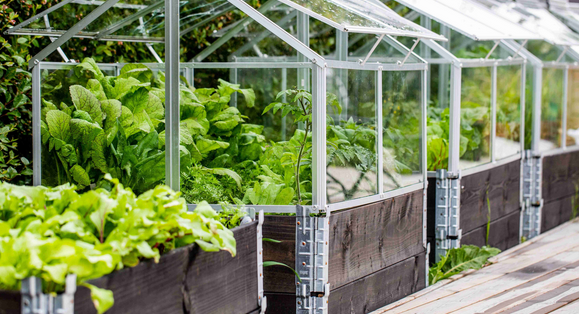 Seasonal Independence: Unlocking the Potential of Greenhouses post thumbnail image